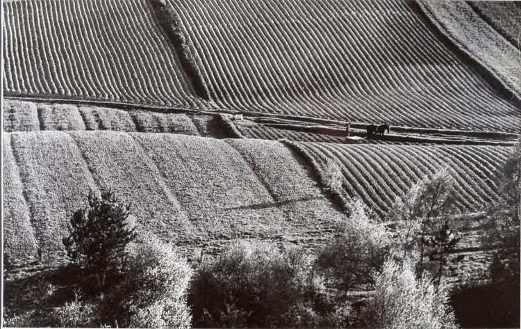 galeria fotografii, pejzaż.