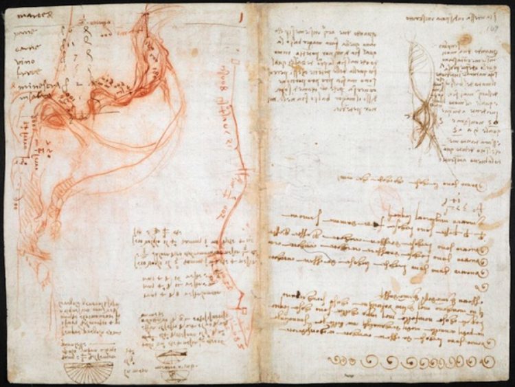 sztuka online: manuskrypty Leonarda da Vinci
