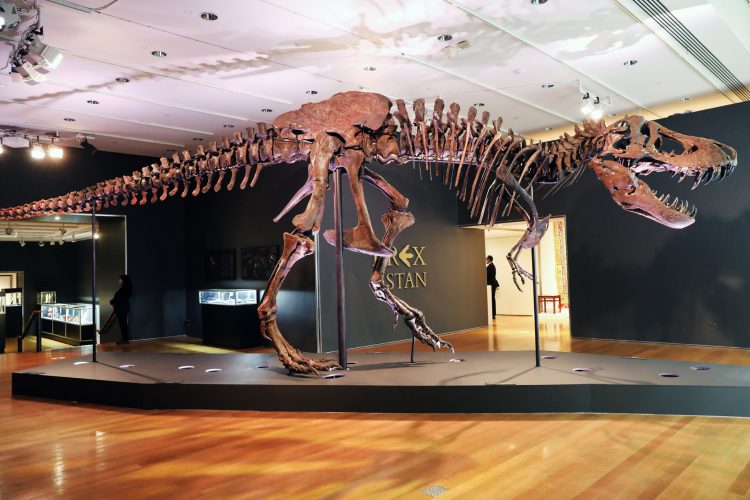 Tyrannosaurus skeleton sold at art auction for $ 31.8 million