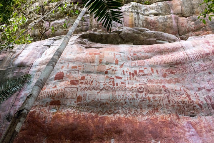 The great discovery: rock paintings found in Colombia